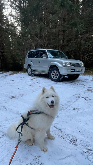 Toyota Land Cruiser 6 of 15