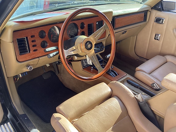 Zimmer Golden Spirit 21 of 22