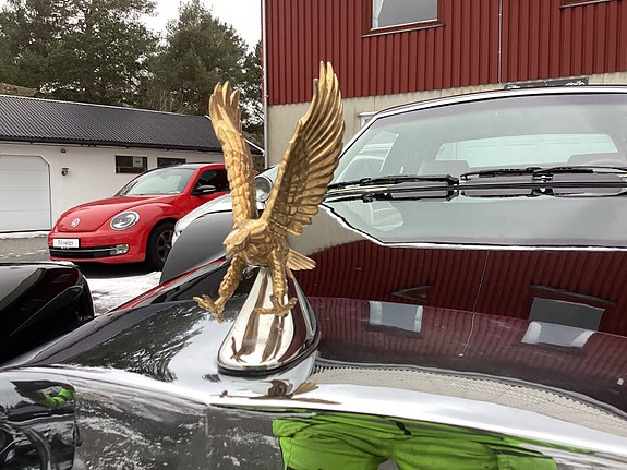 Zimmer Golden Spirit 9 of 22