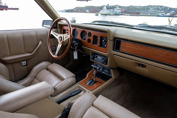 Zimmer Golden Spirit 15 of 22