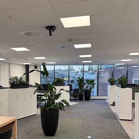 Bilde 4 av 4 i jobbannonse-galleriet