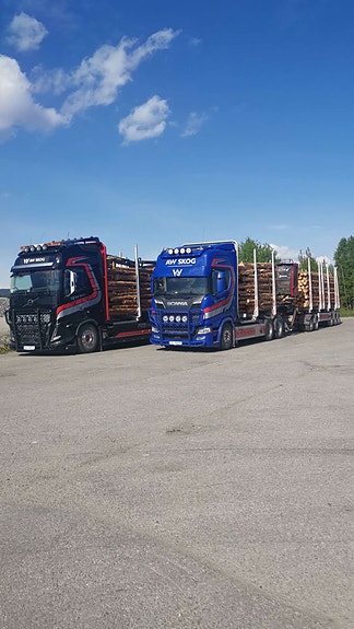 Bilde 1 av 4 i jobbannonse-galleriet