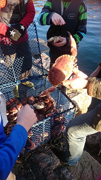 Bilde 1 av 6 i jobbannonse-galleriet