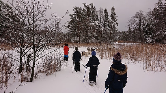 Bilde 5 av 6 i jobbannonse-galleriet