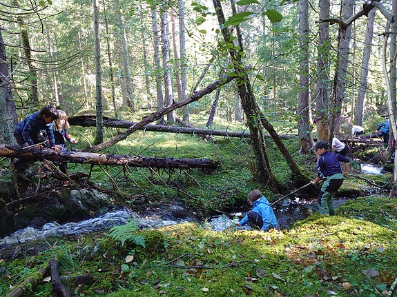 Bilde 6 av 6 i jobbannonse-galleriet