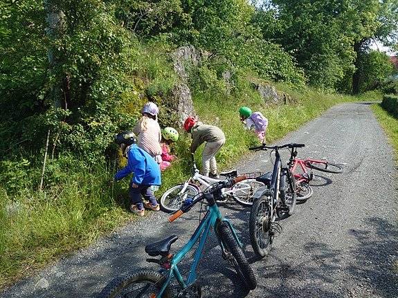 Bilde 2 av 6 i jobbannonse-galleriet