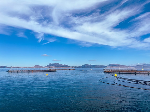 Bilde 1 av 1 i jobbannonse-galleriet