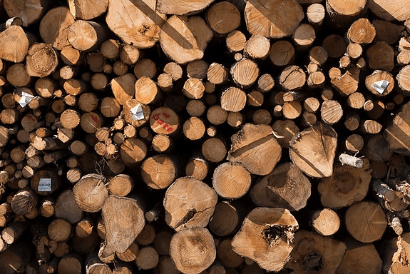 Bilde 1 av 1 i jobbannonse-galleriet