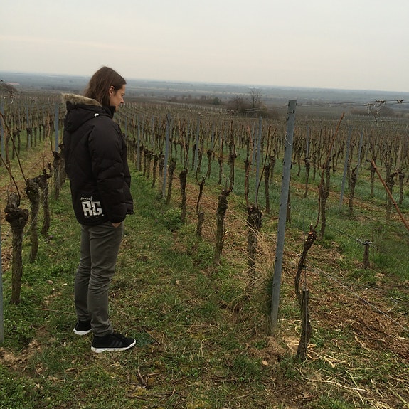 Bilde 3 av 4 i jobbannonse-galleriet