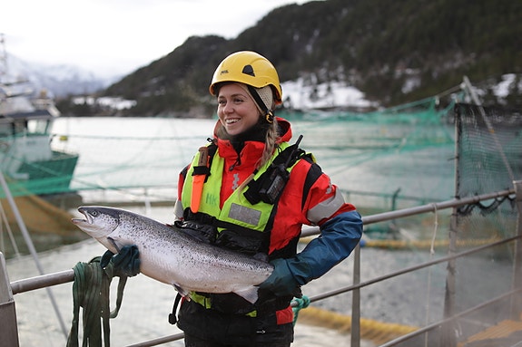 Feltarbeid , Djupeleget, Høyanger