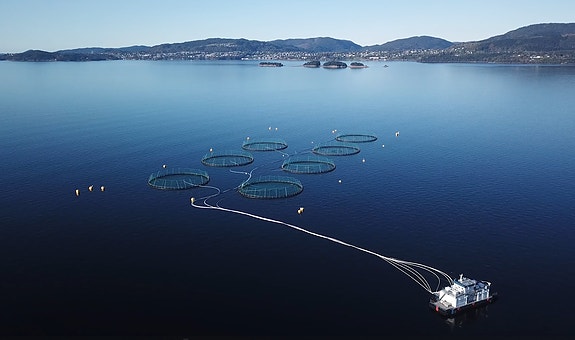 Skåtholmen , Bjørnafjorden