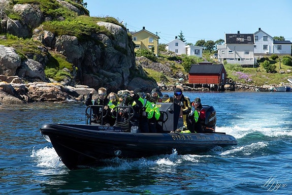 Bilde 7 av 13 i jobbannonse-galleriet