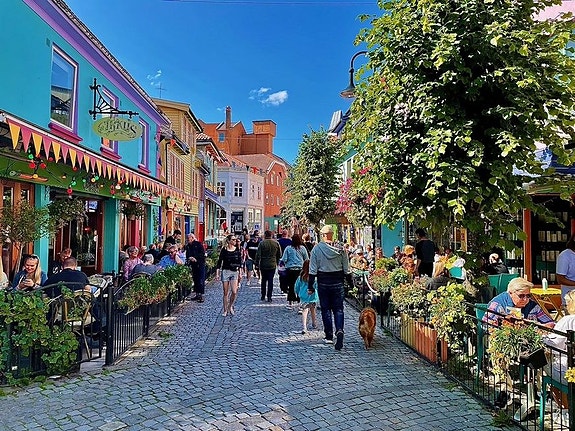 Bilde 1 av 1 i jobbannonse-galleriet