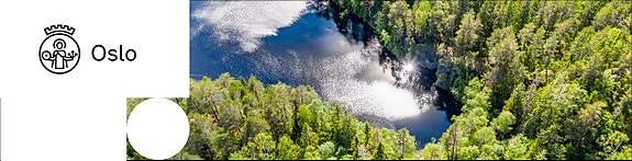 Bilde 1 av 1 i jobbannonse-galleriet