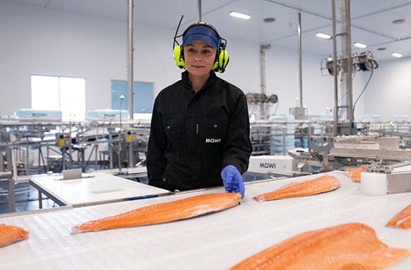 Bilde 2 av 3 i jobbannonse-galleriet