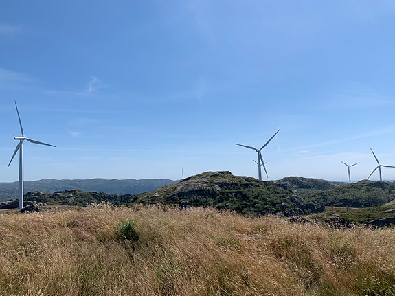 Bilde 2 av 4 i jobbannonse-galleriet