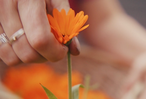 Bilde 5 av 7 i jobbannonse-galleriet