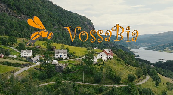 Bilde 1 av 7 i jobbannonse-galleriet