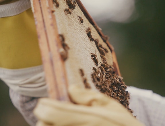 Bilde 7 av 7 i jobbannonse-galleriet