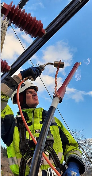 Torje Vedvik, arbeid i stolpe.