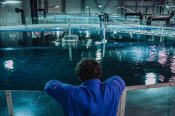 Bilde 1 av 4 i jobbannonse-galleriet