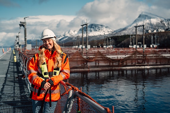 Bilde 2 av 4 i jobbannonse-galleriet