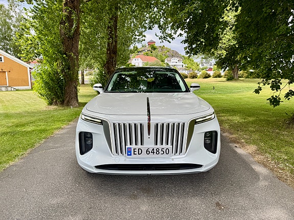Hongqi E-HS9 6 of 30