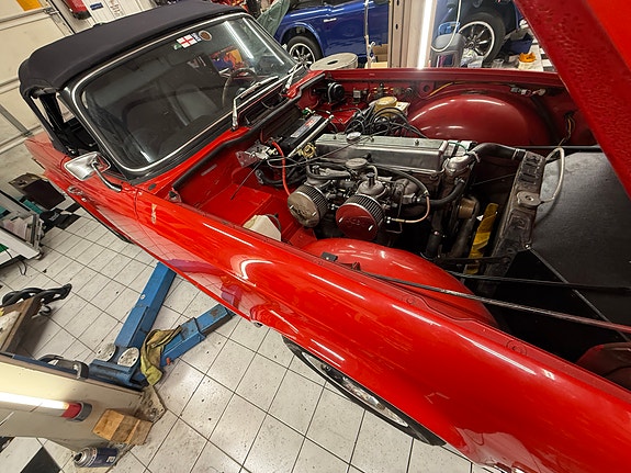 Triumph 5 of 5