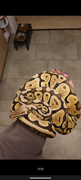 Product image 2 of 8