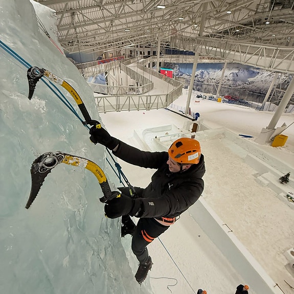 Bilde 7 av 9 i jobbannonse-galleriet