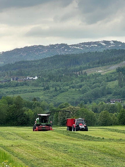 Bilde 4 av 8 i jobbannonse-galleriet