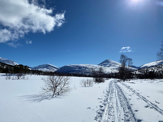 Bilde 8 av 8 i jobbannonse-galleriet