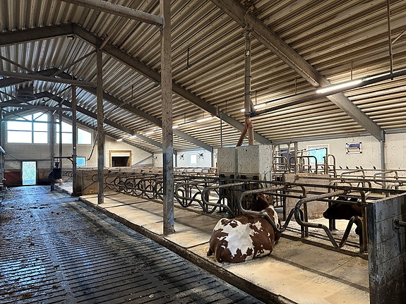 Bilde 3 av 8 i jobbannonse-galleriet