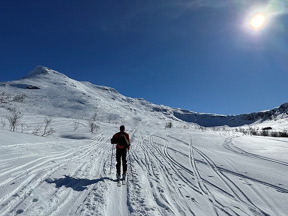 Bilde 7 av 8 i jobbannonse-galleriet