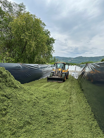 Bilde 5 av 8 i jobbannonse-galleriet