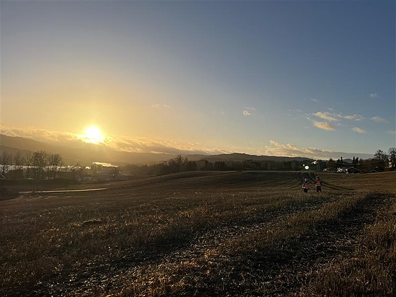 Bilde 1 av 8 i jobbannonse-galleriet