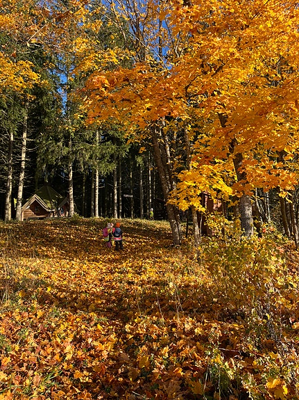 Bilde 5 av 8 i jobbannonse-galleriet