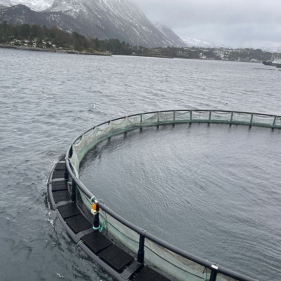 Bilde 2 av 7 i jobbannonse-galleriet