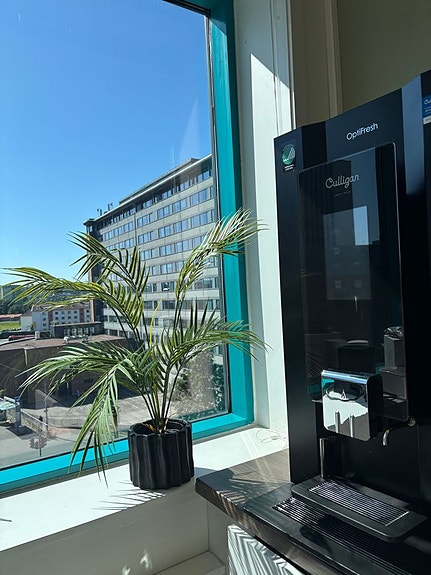 Bilde 2 av 2 i jobbannonse-galleriet