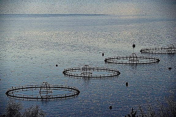 Bilde 3 av 4 i jobbannonse-galleriet