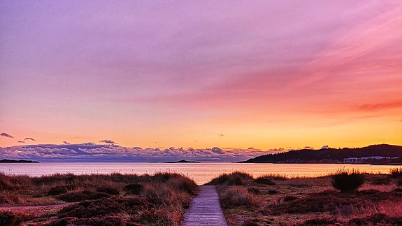 Bilde 2 av 3 i jobbannonse-galleriet