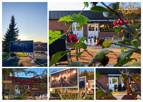 Bilde 1 av 1 i jobbannonse-galleriet