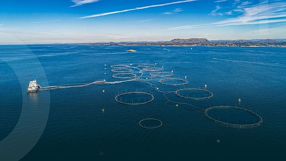 Bilde 4 av 4 i jobbannonse-galleriet