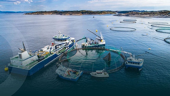 Bilde 2 av 4 i jobbannonse-galleriet