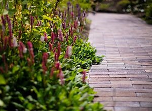 Bilde 5 av 7 i jobbannonse-galleriet