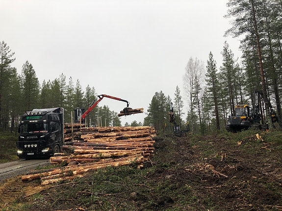 Bilde 4 av 7 i jobbannonse-galleriet