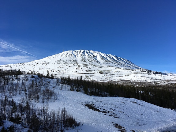 Bilde 1 av 3 i jobbannonse-galleriet