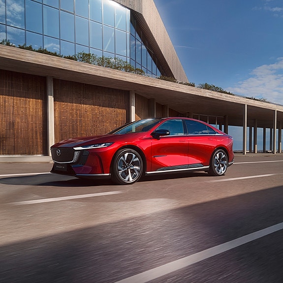 Bilde 4 av 5 i jobbannonse-galleriet