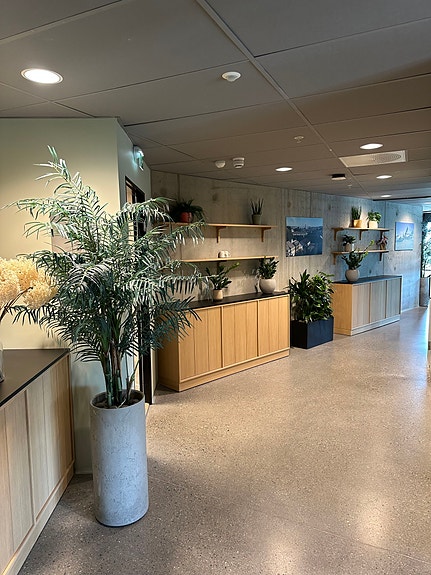 Bilde 6 av 8 i jobbannonse-galleriet