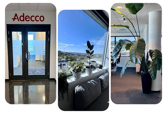 Bilde 3 av 6 i jobbannonse-galleriet